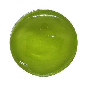 Popsocket Single Circle Green