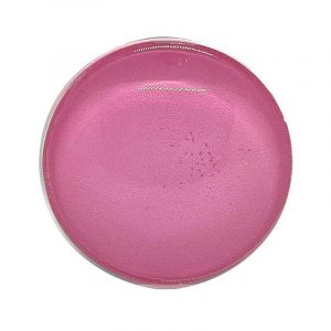 Popsocket Single Circle Pink