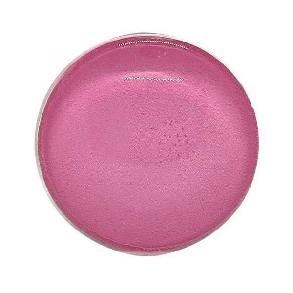 Popsocket Single Circle Pink